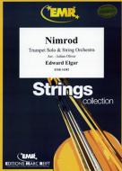 Nimrod Standard