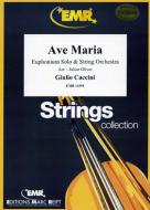 Ave Maria Standard