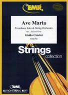 Ave Maria Standard