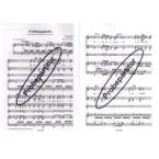Frühlingsglaube op. 20 Nr. 2 