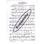 Hymne an die Nacht 