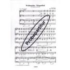 Weihnachts-Wiegenlied 
