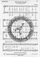 Ein bunter Strauss 