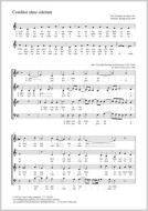 Conditor alme siderum Standard