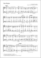 Salve Regina Standard