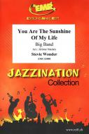 You Are The Sunshine Of My Life Standard