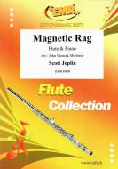 Magnetic Rag Standard