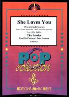 She Loves You Standard