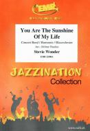 You Are The Sunshine Of My Life Download