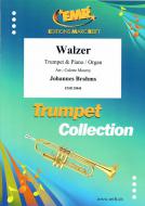 Walzer Standard