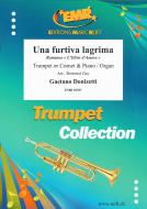 Una furtiva lagrima Standard