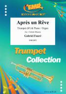 Après un Rêve Standard
