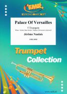 Palace of Versailles Standard