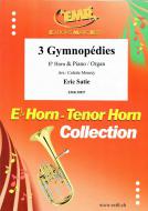 3 Gymnopédies Standard