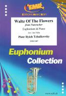 Waltz Of The Flowers Standard