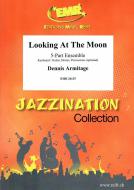 Looking At The Moon Standard