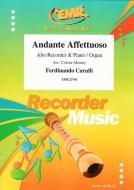 Andante Affettuoso Standard