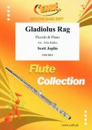 Gladiolus Rag Standard