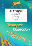 The Sycamore Standard