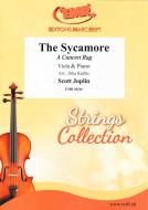 The Sycamore Standard