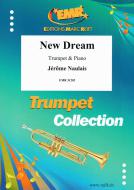 New Dream Standard