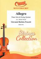 Allegro Standard