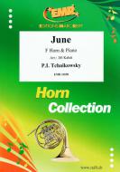 June Standard