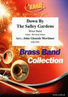 Down By The Salley Gardens Standard