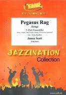 Pegasus Rag Standard