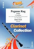 Pegasus Rag Standard