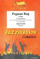 Pegasus Rag Standard