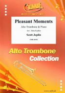 Pleasant Moments Download