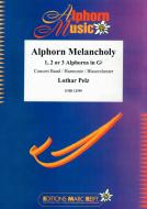 Alphorn Melancholy Download