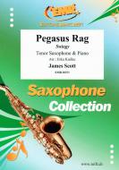 Pegasus Rag Download