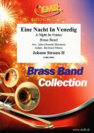 Eine Nacht in Venedig Download