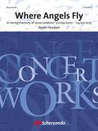 Where Angels Fly 