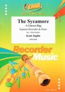 The Sycamore Download