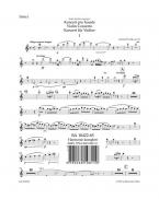 Concerto in A minor 