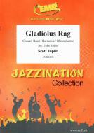Gladiolus Rag Standard