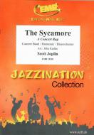The Sycamore Standard