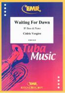 Waiting For Dawn Standard