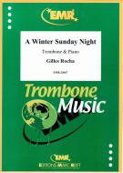 A Winter Sunday Night Standard
