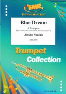Blue Dream Standard