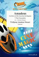 Amadeus Standard