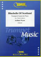 Bluebells of Scotland Standard