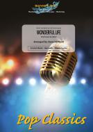 Wonderful Life 