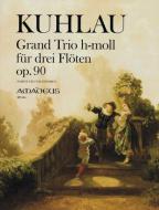 Grande trio in si minore op. 90 