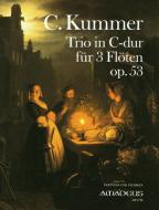 Trio in do maggiore op. 53 