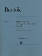 Improvisationen über ungarische Bauernlieder op. 20 