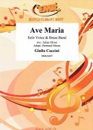 Ave Maria Standard